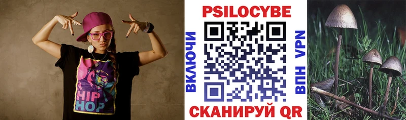Псилоцибиновые грибы ЛСД  Злынка 